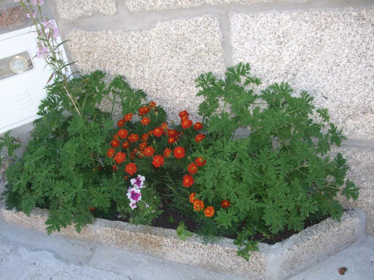 הוילה Avelal Casa Velha מראה חיצוני תמונה