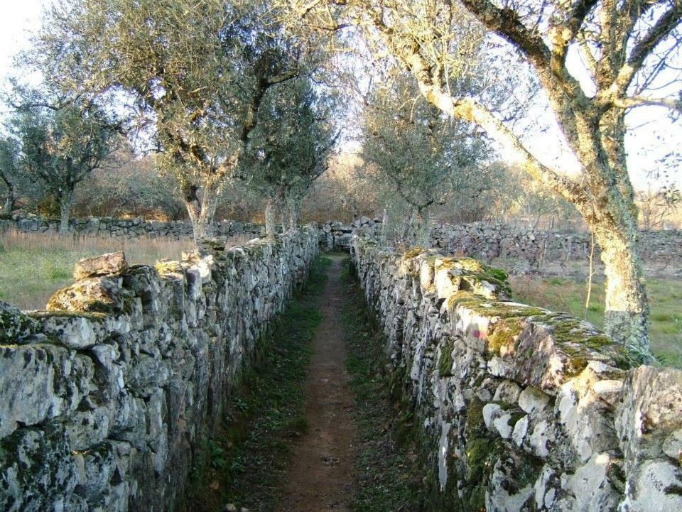 הוילה Avelal Casa Velha מראה חיצוני תמונה